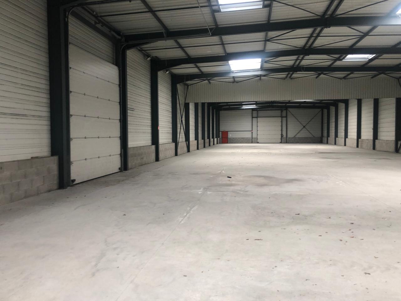 Local d'activité Mions 1215m² Location local d'activité Mions Rhône OLACT2530745 6
